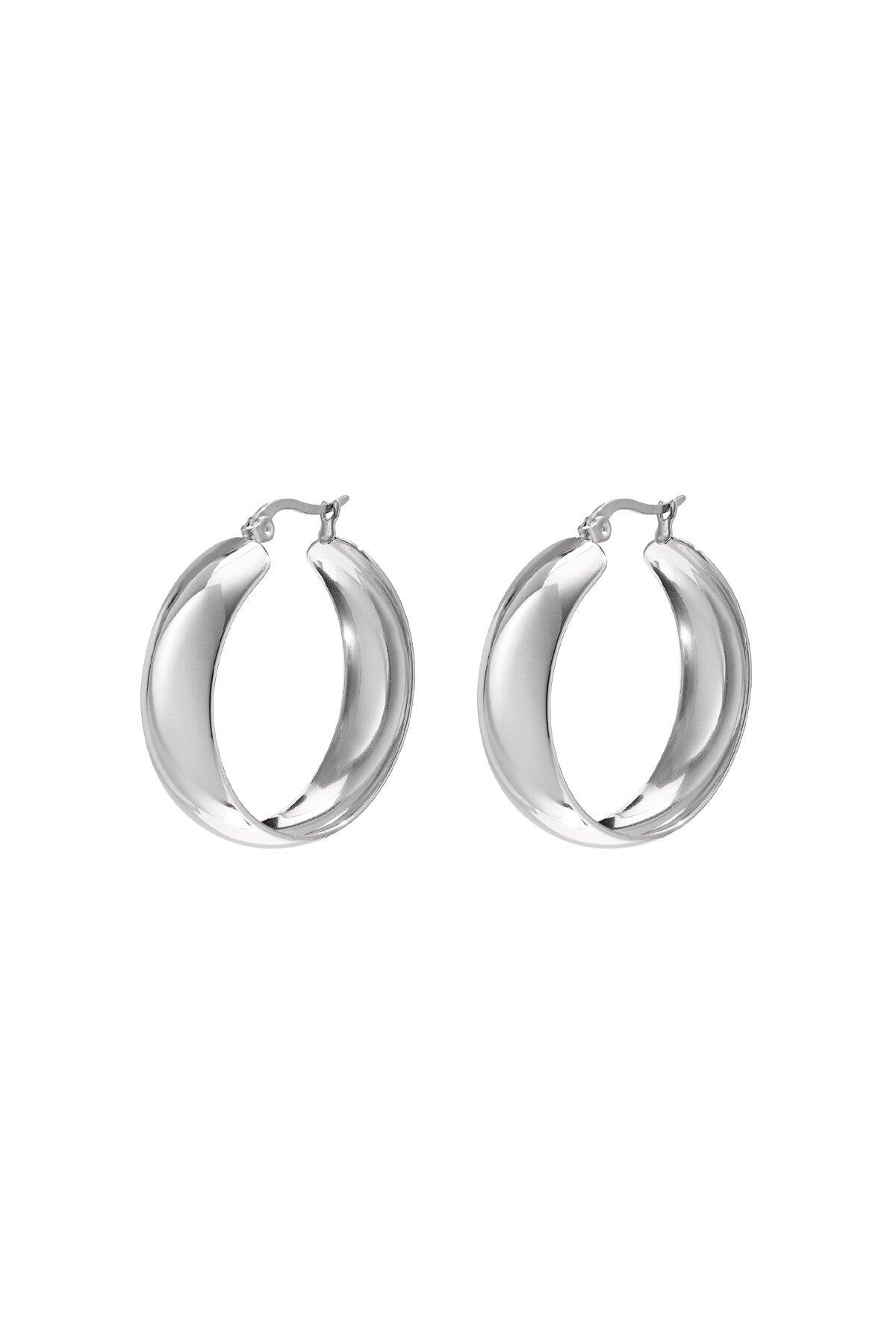Stainless Steel Hoop Earrings circle Casual Daily Simple Series Women's jewelry